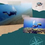 Abdel Aziz El Sayegh Instagram - @diving_arts_center Try scuba diving trips Fun dive trips Snorkelling trips Diving courses Swimming training From 9 years for diving Private courses 200kd for courses 35kd fun dive trips 55kd try scuba diving DM for more details رحلات تجربة الغوص رحلات غوص ترفيهي رحلات سنوركل دورات غوص تدريب سباحه اقل عمر للغوص ٩سنوات جميع الدورات برايڤت يوجد مدربات قيمة الدورة 200دك قيمة الرحلة مع ليسن غوص 35 دك قيمة تجربة الغوص 55دك دايركت مسج للمزيد من الاستفسار 69966680