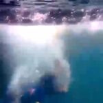Abdel Aziz El Sayegh Instagram -