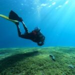 Abdel Aziz El Sayegh Instagram - @diving_arts_center تجربة الغوص لاول مرة رحلات بحرية سنوركل حداق غوص بروفيشنال رحلات غوص داخل الكويت وخارج الكويت دورات سباحه دورات غوص ( يوجد مدربات)