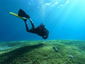 Abdel Aziz El Sayegh Instagram - @diving_arts_center 
تجربة الغوص لاول مرة 
رحلات بحرية 
سنوركل
حداق 
غوص بروفيشنال 
رحلات غوص داخل الكويت وخارج الكويت 
دورات سباحه 
دورات غوص 
( يوجد مدربات)