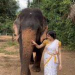 Adah Sharma Instagram – What is your favourite memory of 2023?
I met someone who I had an instant connection with and I became a fan 😍
This video is at the rehabilitation centre for abused elephants. The elephants are not trained and sticks are not used on them, no loud sounds , screaming. 
This elephant was jungle se, the other one was circus se rescued, then ek aur tha who was abused for rides, his scull is cracked because of constant strikes with a stick. They live her (not caged)