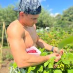 Adam Borics Instagram – 🇺🇸Nothing like homegrown fruits 
🇭🇺A kertben termett gyümölcshöz semmi nem fogható 😍Nektek melyik a kedvenc nyári gyümölcsötök?🍒🍓 Berekfurdo