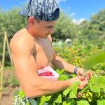 Adam Borics Instagram - 🇺🇸Nothing like homegrown fruits 🇭🇺A kertben termett gyümölcshöz semmi nem fogható 😍Nektek melyik a kedvenc nyári gyümölcsötök?🍒🍓 Berekfurdo