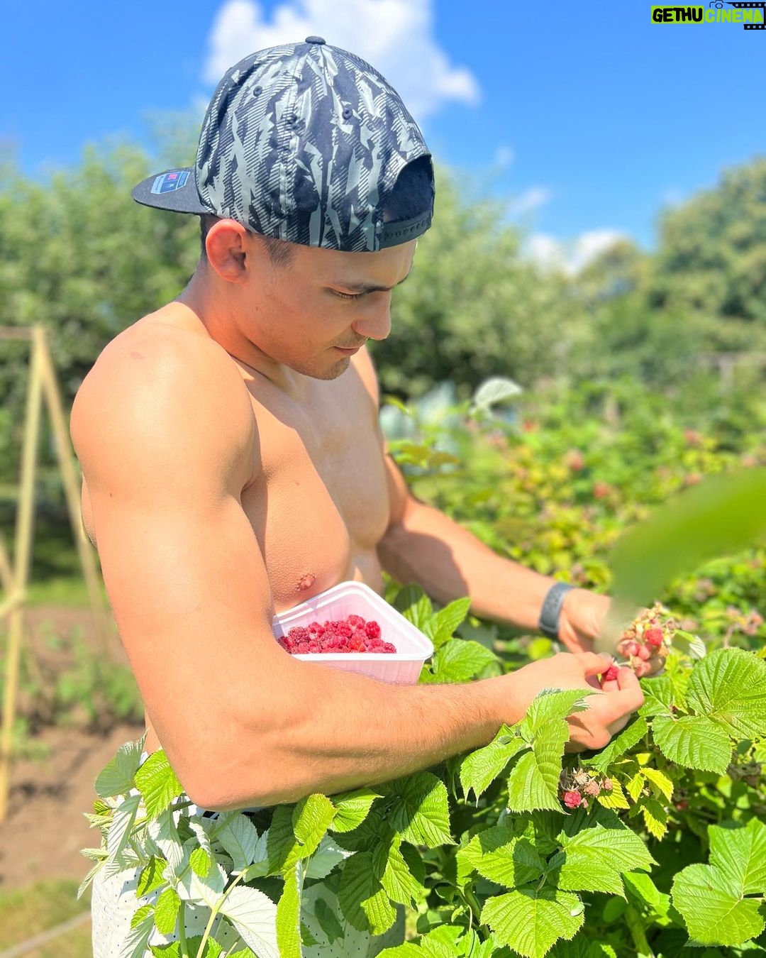 Adam Borics Instagram - 🇺🇸Nothing like homegrown fruits 🇭🇺A kertben termett gyümölcshöz semmi nem fogható 😍Nektek melyik a kedvenc nyári gyümölcsötök?🍒🍓 Berekfurdo