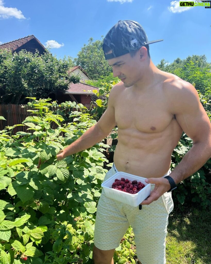 Adam Borics Instagram - 🇺🇸Nothing like homegrown fruits 🇭🇺A kertben termett gyümölcshöz semmi nem fogható 😍Nektek melyik a kedvenc nyári gyümölcsötök?🍒🍓 Berekfurdo
