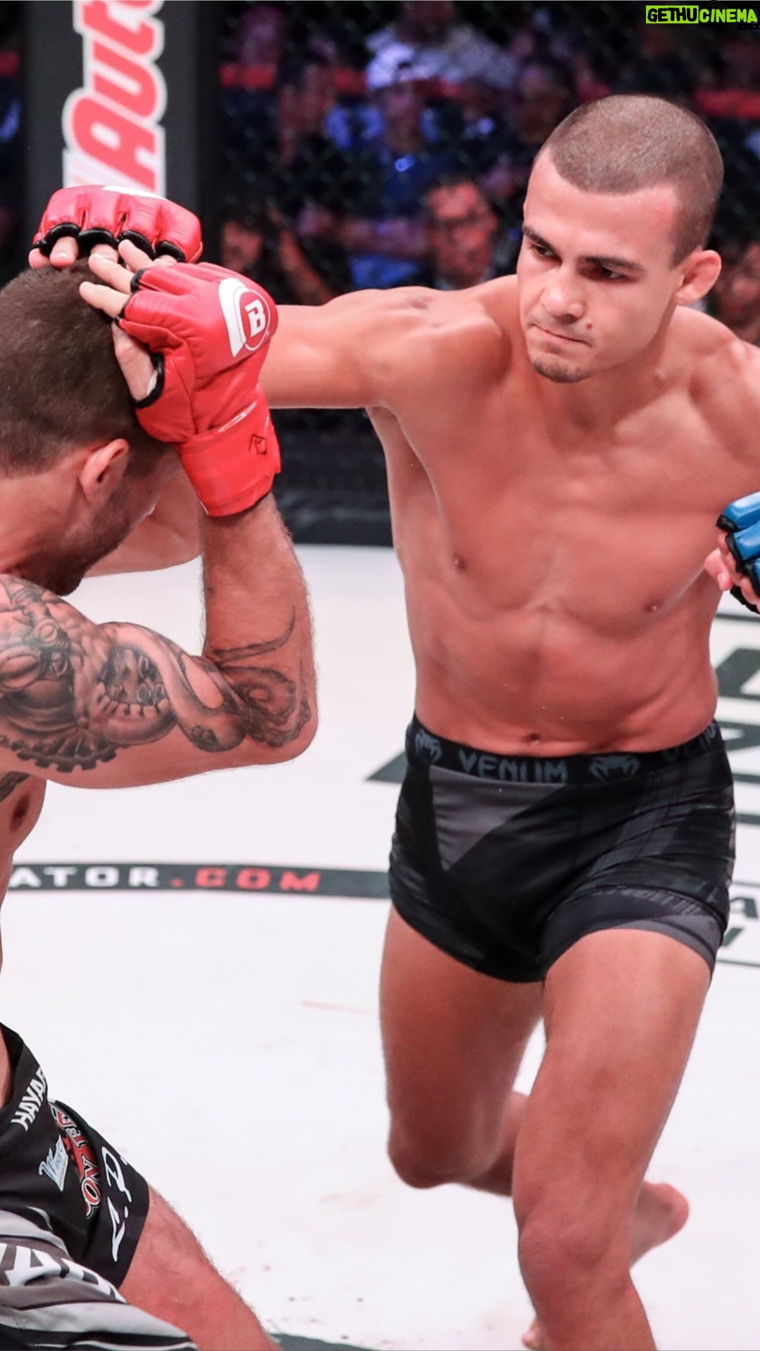 Adam Borics - 4.3K Likes - Join us in wishing a happy birthday to former title challenger @adamborics! 🎂
Who should “The Kid” fight next? 🔥 #Bellator