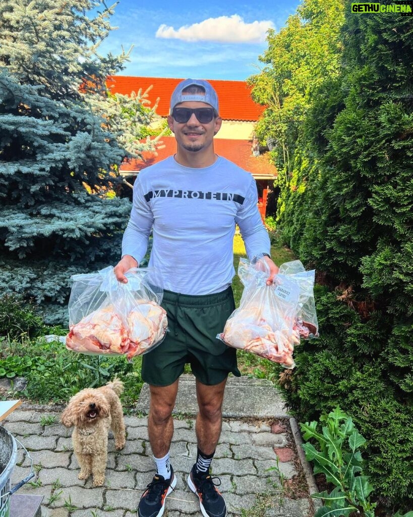 Adam Borics Instagram - Számunkra nagyon fontos a minőségi élelmiszer, sportolóként főleg nem mindegy milyen üzemanyagot tankolunk. ⛽️ igazi szabadtartású csirke volt a mai zsákmány 🐩 amég Artúr le nem nyúlja 😂 Eger, Hungary