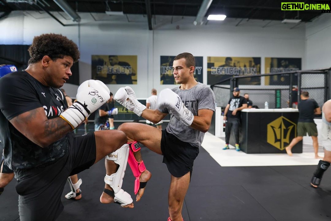 Adam Borics Instagram - We are Back 🥊 📸 @alexweinraub Miami, Florida
