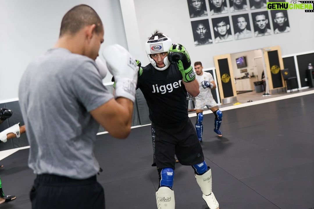 Adam Borics Instagram - We are Back 🥊 📸 @alexweinraub Miami, Florida
