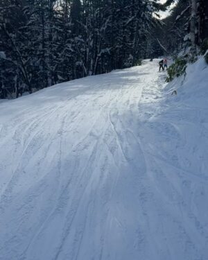 Adam Liaw Instagram - First tracks on January 1st. Happy new year everyone!