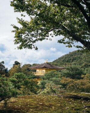 Adam Liaw Instagram - Come to Japan with me! 

Very happy to announce that in September 2024 I’ll be taking another tour around Japan (with a bit of Korea thrown in as well). 

My last tour sold out in less than 24 hours, and while there are a few more places available for this one you’ll still need to get in very quickly! 

This time we’re doing it a little differently. Instead of travelling overland we’ll be cruising on the exquisite Silver Muse for 10 days and visiting Tokyo, Kobe,  Busan (Korea), Kanazawa and Hakodate (Hokkaido).

The Silver Muse is an ultra-luxury small cruise liner with all-suite accomodation and eight dining venues. 

I’ll be doing cooking demonstrations and tailoring the meals on board to our destinations for a fully immersive Japan experience. 

Link in my profile for all the details!

@gulliversaustralia 
@silverseacruises