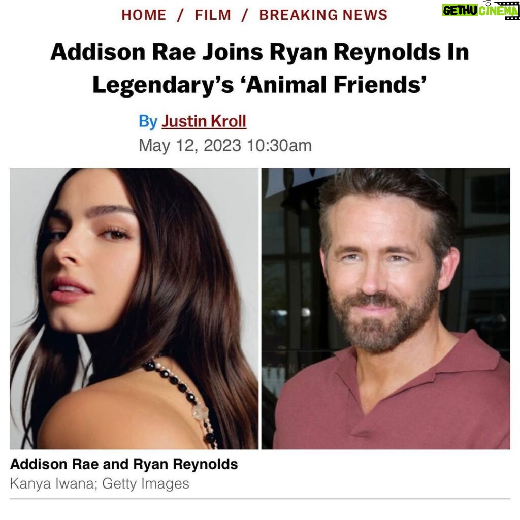 Addison Rae Instagram - Yes, you read that right. @atencio @legendary 🐨🐰🐆🙉🦭🦟🫏🐰🐕🐆🐴🐂🦆🐻