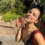 Addison Rae Instagram - 🌹🌹🌹🎄🎄Merry Christmas 🌹🌹🌹🌹🌹🎄🎄⭐️⭐️