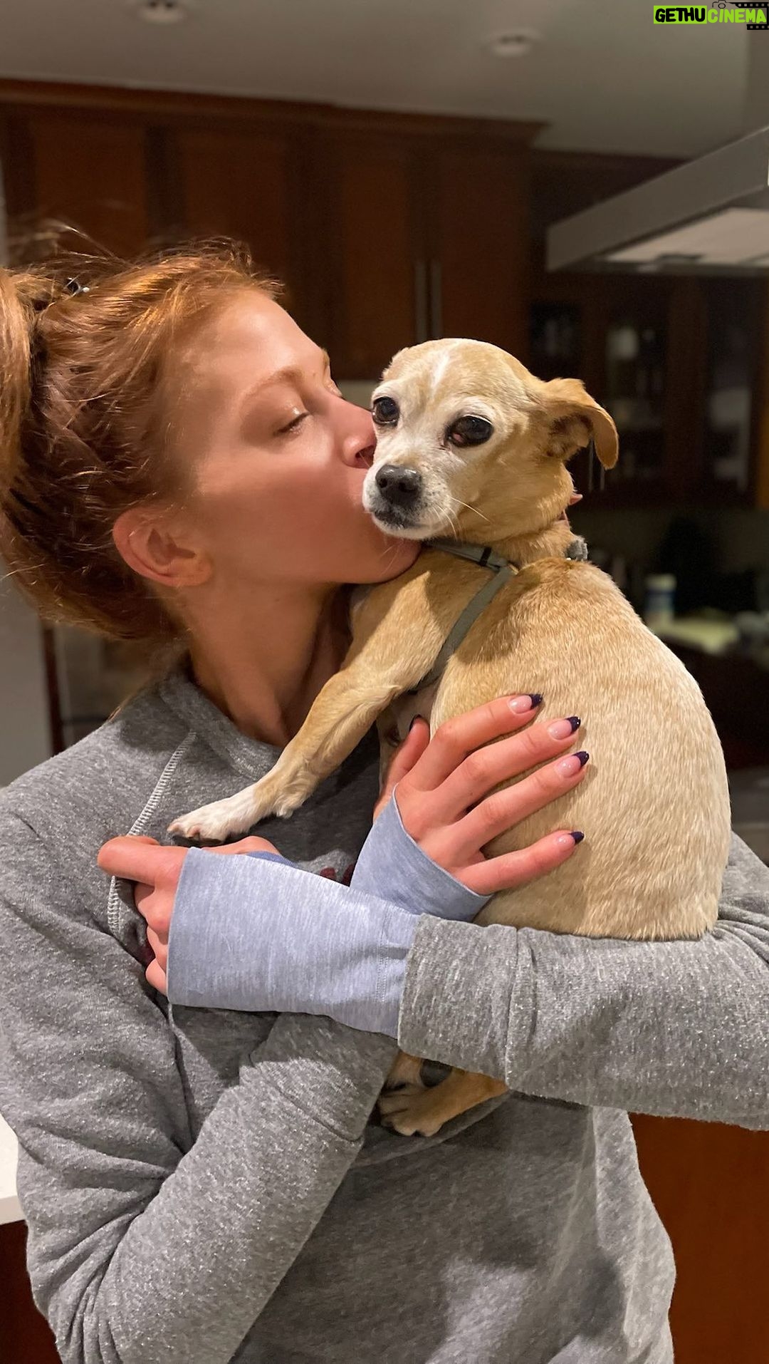 Adrianne Palicki Instagram - Time goes by and things change but… I'll always be a dog lover 😘🐶 Absolutely love this #HarryStyles #AsItWas trend ❤️