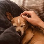 Adrianne Palicki Instagram - Wake up, Olly! It’s finally Saturday! 💗😂