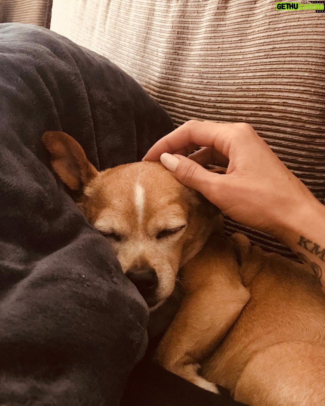 Adrianne Palicki Instagram - Wake up, Olly! Itβs finally Saturday! ππ
