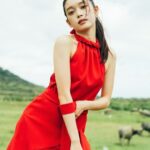 Akari Takaishi Instagram - おしらせ 本日より1st写真集予約開始です❤️‍🔥 https://bltweb.jp/2024/01/11/takaishiakari_yoyakustart_store/ (ストーリー貼るね) 限定表紙…サイン入り写真集…ポストカード… 購入者特典もお楽しみにっ 都内でイベントも予定してます🤭 予約してお待ちくださいませ。 新衣装カットは、野良牛と夜市と責任。 どんな写真集なの🐮 #幻灯