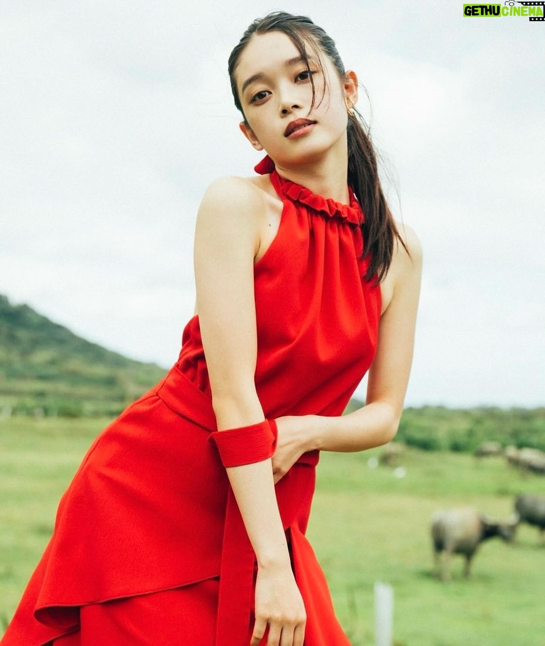 Akari Takaishi Instagram - おしらせ 本日より1st写真集予約開始です❤️🔥 https://bltweb.jp/2024/01/11/takaishiakari_yoyakustart_store/ (ストーリー貼るね) 限定表紙…サイン入り写真集…ポストカード… 購入者特典もお楽しみにっ 都内でイベントも予定してます🤭 予約してお待ちくださいませ。 新衣装カットは、野良牛と夜市と責任。 どんな写真集なの🐮 #幻灯