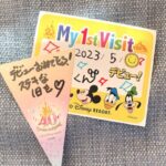 Akina Minami Instagram - 5月に息子くんディズニーランドデビューしました👦🏻✨ まだ10ヶ月だったのでアトラクションは乗らず、のんびりパークをお散歩して雰囲気を楽しんだよ☺️ パークデビューの記念日シールと40周年のドリームガーランドシールもいただきました🎉 いろんなものを目をキラキラさせながら見てて可愛いかった👦🏻✨ 次行った時はなにかアトラクション乗れるかな☺️⁇