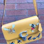 Akina Minami Instagram - DISNEY x COACHディズニー創立100周年限定コレクション✨ 可愛い☺️ #CoachJapan #CoachNY #DisneyxCoach #ShareTheWonder #Disney100 #PR