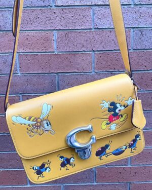 Akina Minami Instagram - DISNEY x COACHディズニー創立100周年限定コレクション✨
可愛い☺️

#CoachJapan
#CoachNY
#DisneyxCoach
#ShareTheWonder
#Disney100
#PR