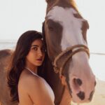 Akshaya hariharan Instagram – Lakshmi🐎 A poetry  Retouch – @dhesanthree  Disclaimer (No animals were harmed in the making)