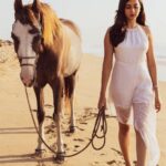 Akshaya hariharan Instagram - Lakshmi🐎 A poetry Retouch - @dhesanthree Disclaimer (No animals were harmed in the making)