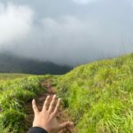 Akshaya hariharan Instagram - My first trek dump⛰️ Chembra Peak