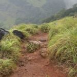 Akshaya hariharan Instagram - My first trek dump⛰️ Chembra Peak