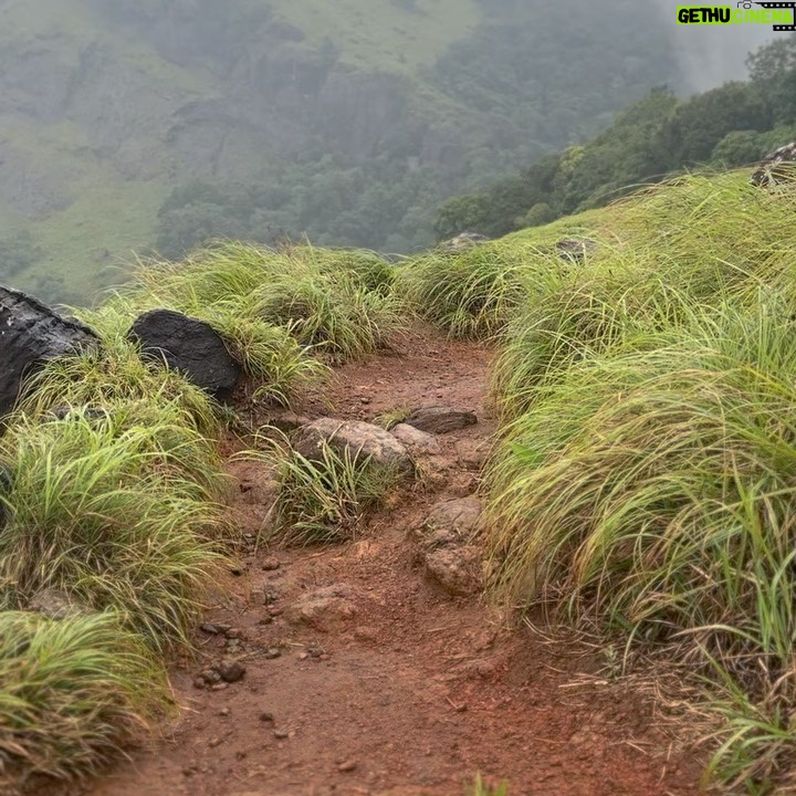 Akshaya hariharan Instagram - My first trek dump⛰️ Chembra Peak