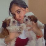 Akshita Mudgal Instagram – Happy 2nd month my bachas ♥️🧿🐾