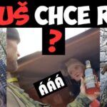 Aleš Bejr Instagram - Majsner v sukni CHCE RUM?ANO/NE?