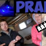 Aleš Bejr Instagram – KDO SE POKAKAL?