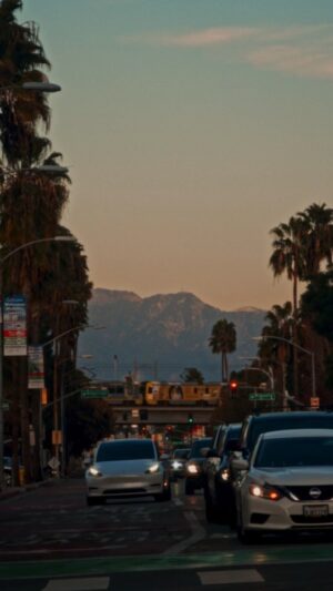 Alejandro Hernández Instagram - Un tour de mi vecindario en Los Angeles (Culver City/Palms)