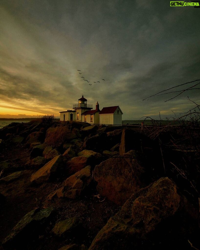 Alejandro Hernández Instagram - The lighthouse Golden Garden Beach