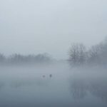Alejandro Hernández Instagram - Salir de la casa y ver esta neblina 😍 Prospect Park