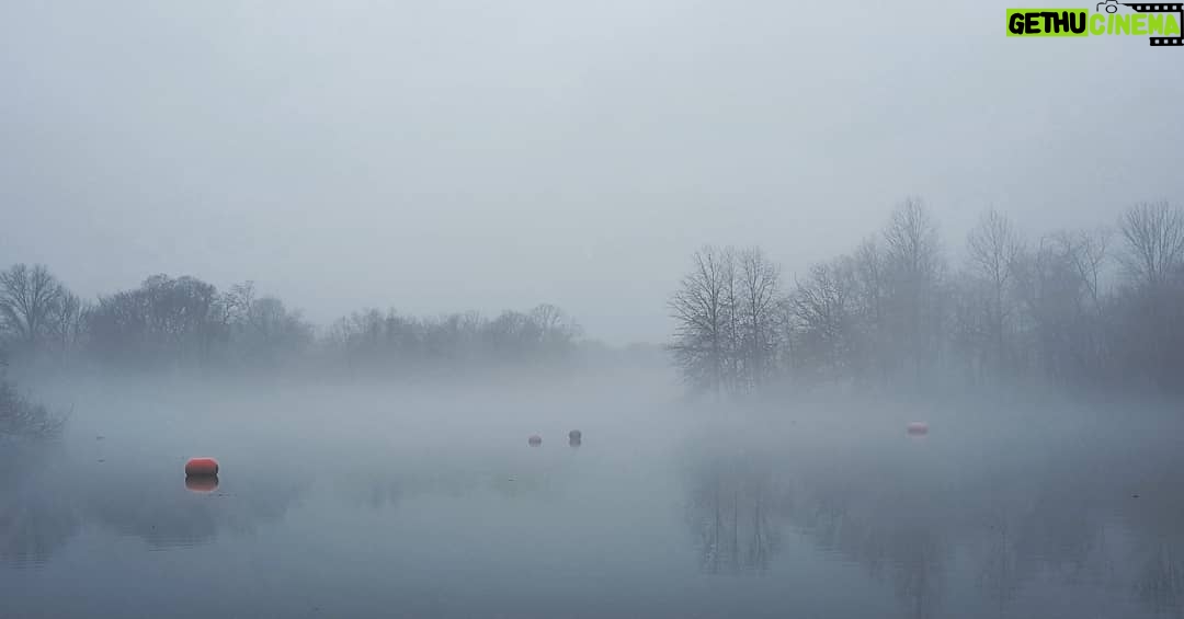 Alejandro Hernández Instagram - Salir de la casa y ver esta neblina 😍 Prospect Park