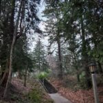 Alejandro Hernández Instagram – Washington Park, Oregon #throwback
(segunda foto es sin editar)