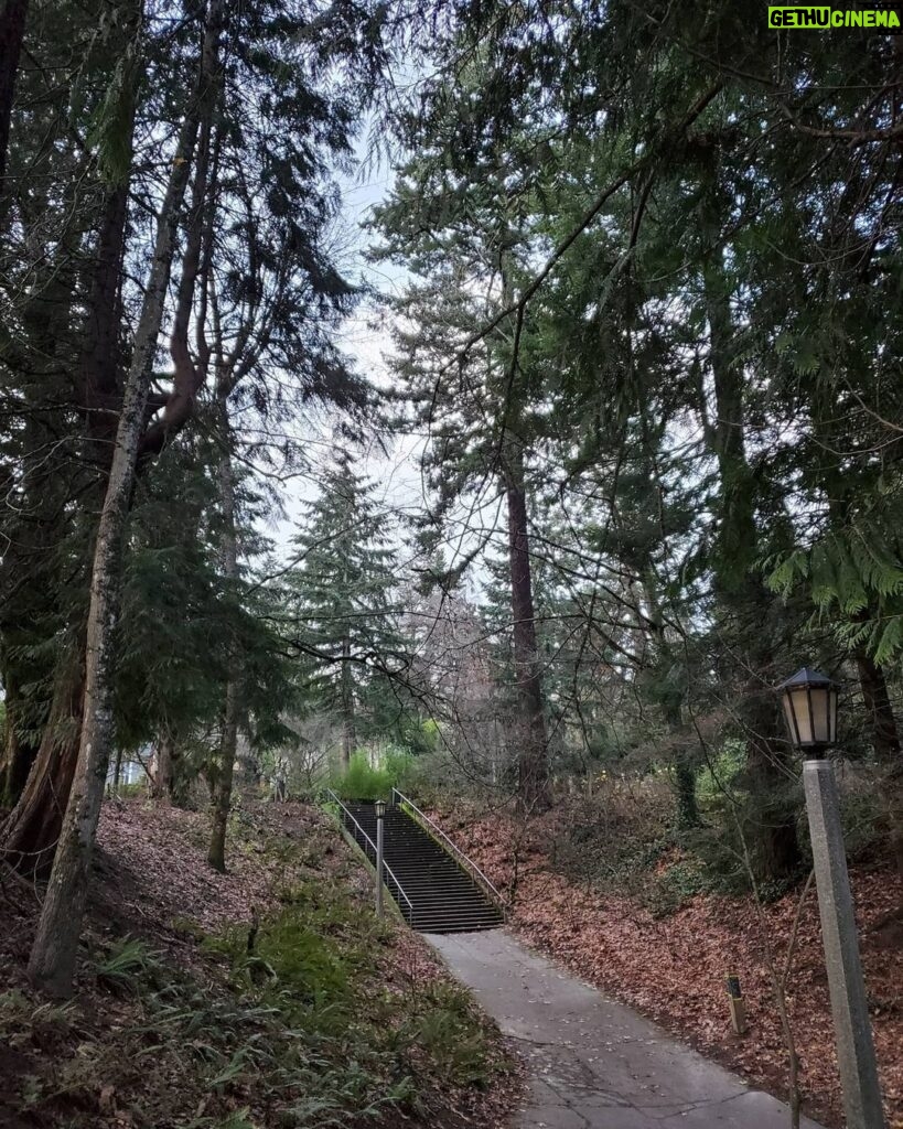 Alejandro Hernández Instagram - Washington Park, Oregon #throwback (segunda foto es sin editar)