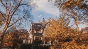 Alejandro Hernández Instagram - Ir a Queens es un viaje para mí, pero cada otoño vale la pena ir a uno de mis vecindarios favoritos. Cero ruido, cero estrés, sólo una ardilla pasando por tu camino de vez en cuando.