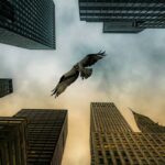 Alejandro Hernández Instagram – Light vs. Dark Midtown East, Manhattan