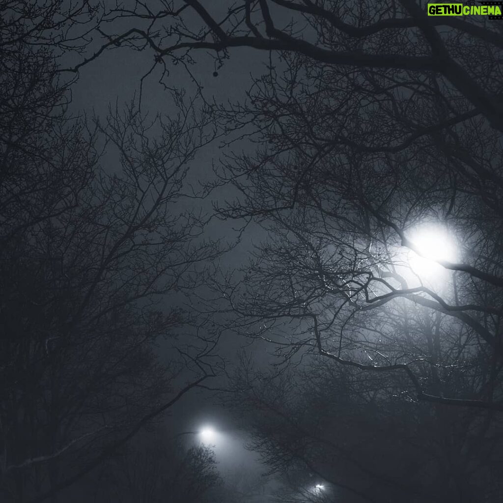 Alejandro Hernández Instagram - Foggy nights >>>