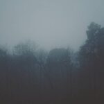 Alejandro Hernández Instagram - There is something in the woods. Flemington, New Jersey