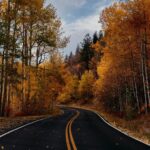 Alejandro Hernández Instagram - El viaje en carro de Denver a Aspen, Colorado me cambió la vida.