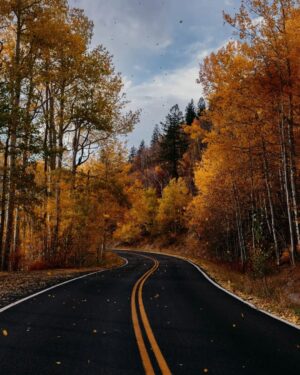 Alejandro Hernández Instagram - El viaje en carro de Denver a Aspen, Colorado me cambió la vida.