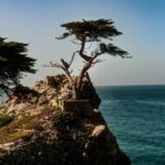 Alejandro Hernández Instagram - Un paseo por la costa de California, uno de los lugares más hermosos de USA sin duda. Quiero imprimir y enmarcar una de estas pero no sé cuál escoger | 📸 Fujifilm X-T20 . #fujifilm #fujifeed #california #bigsur #pch #pacificcoast #fujixseries #fujilove #landscape #nature #fujifeed #travel #losangeles #sanfrancisco Big Sur, California