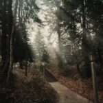 Alejandro Hernández Instagram - Washington Park, Oregon #throwback (segunda foto es sin editar)