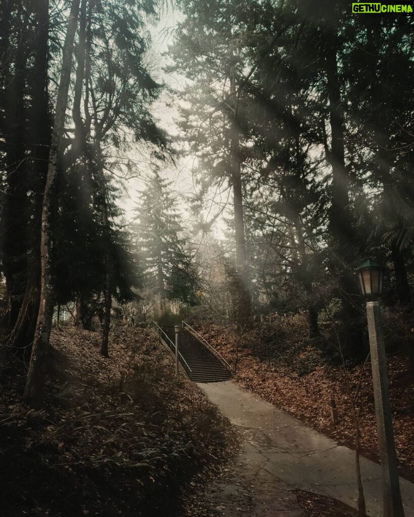 Alejandro Hernández Instagram - Washington Park, Oregon #throwback (segunda foto es sin editar)