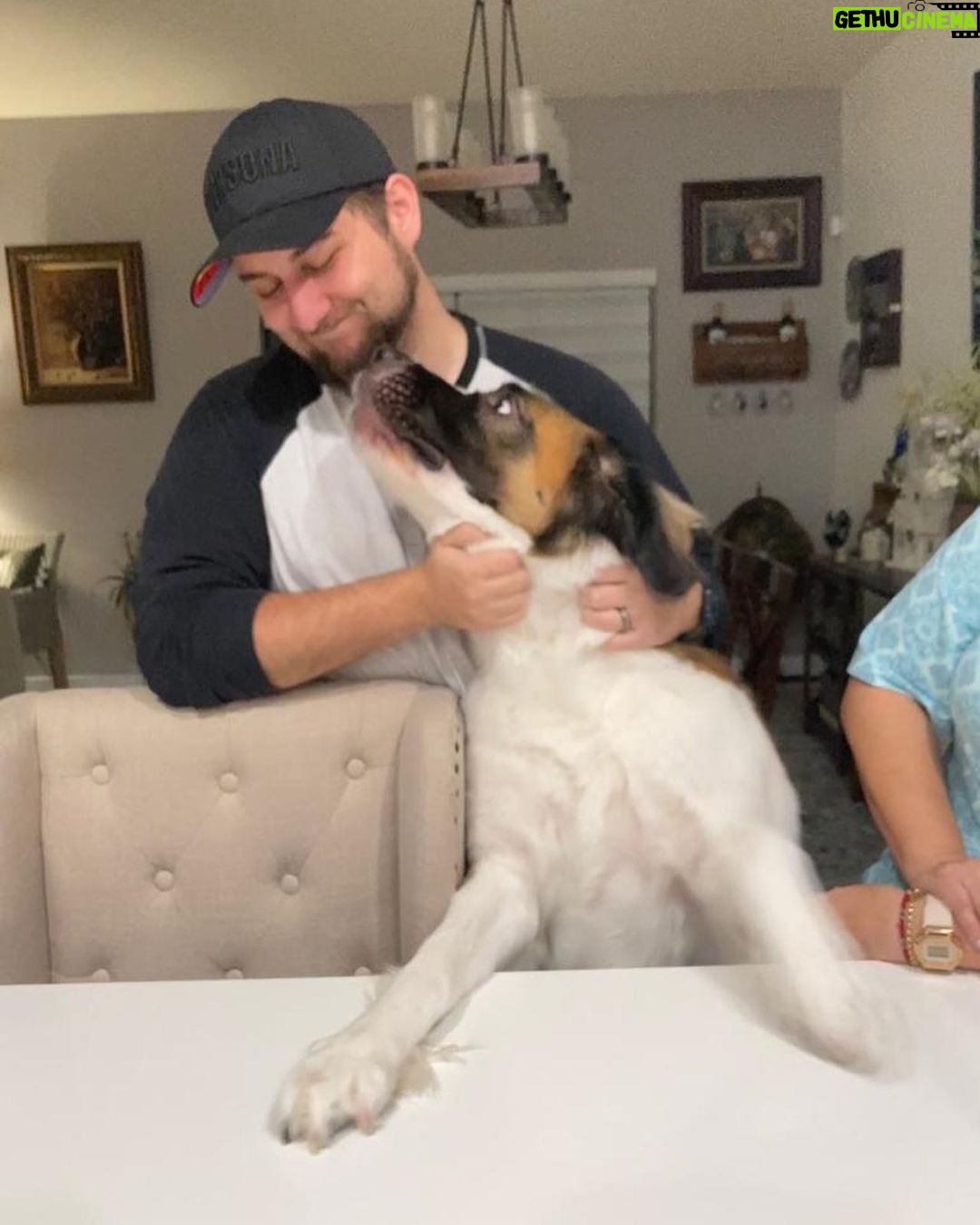 Alejandro Saab Instagram - I Met my aunts dog yesterday. Her name Nova 🥹