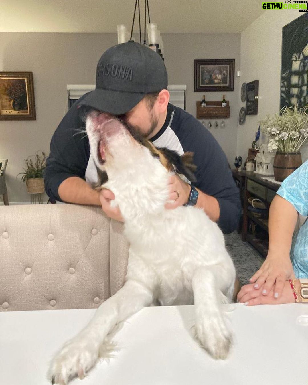 Alejandro Saab Instagram - I Met my aunts dog yesterday. Her name Nova 🥹